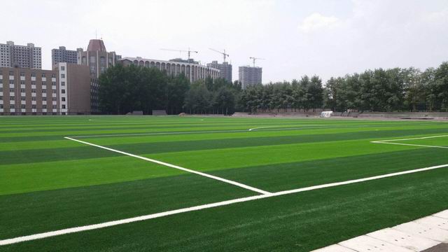 人工草坪足球場